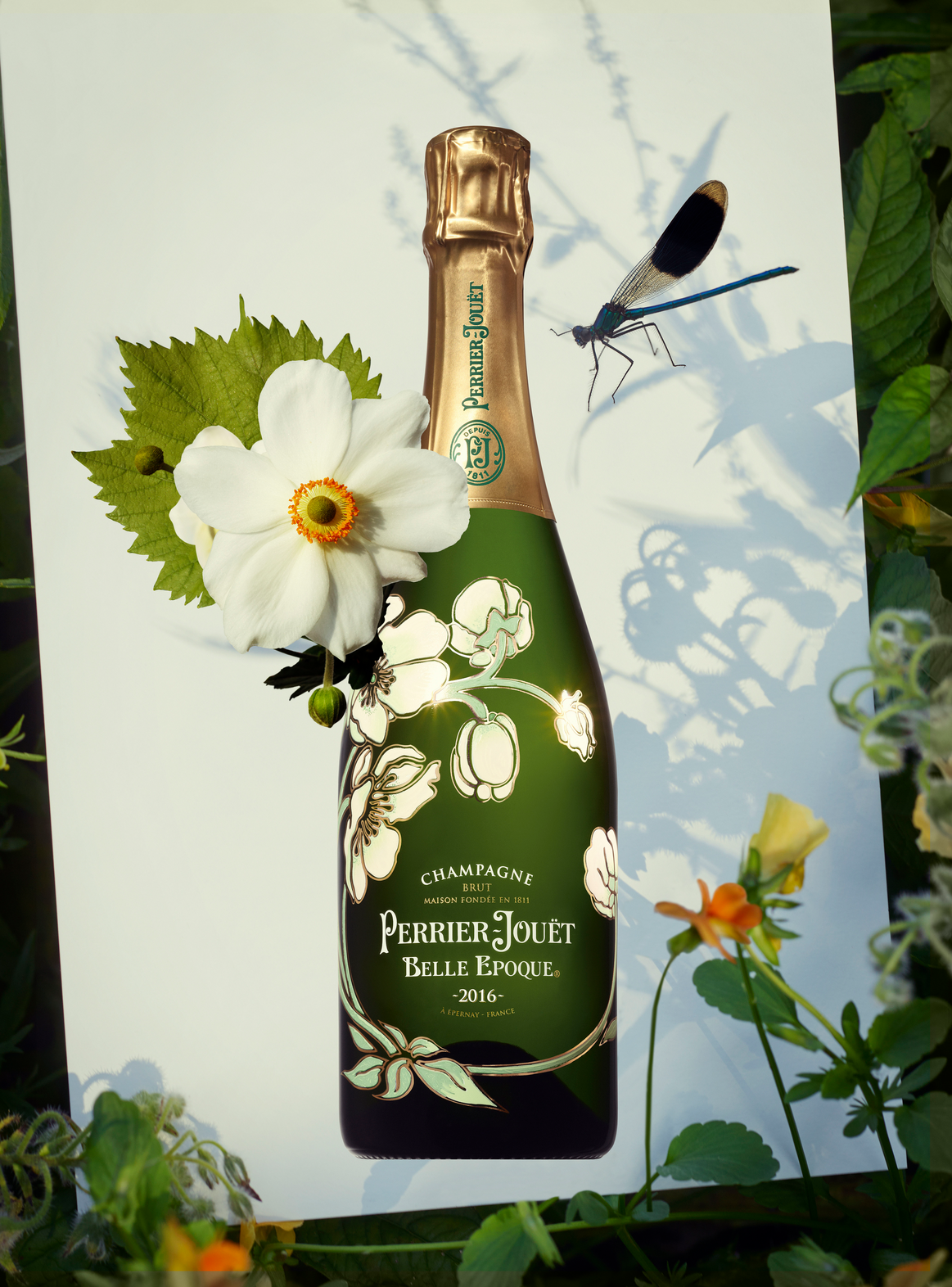 コルクと花のリース ペリエ・ジュエ コルクリース | Fleur D'Alice